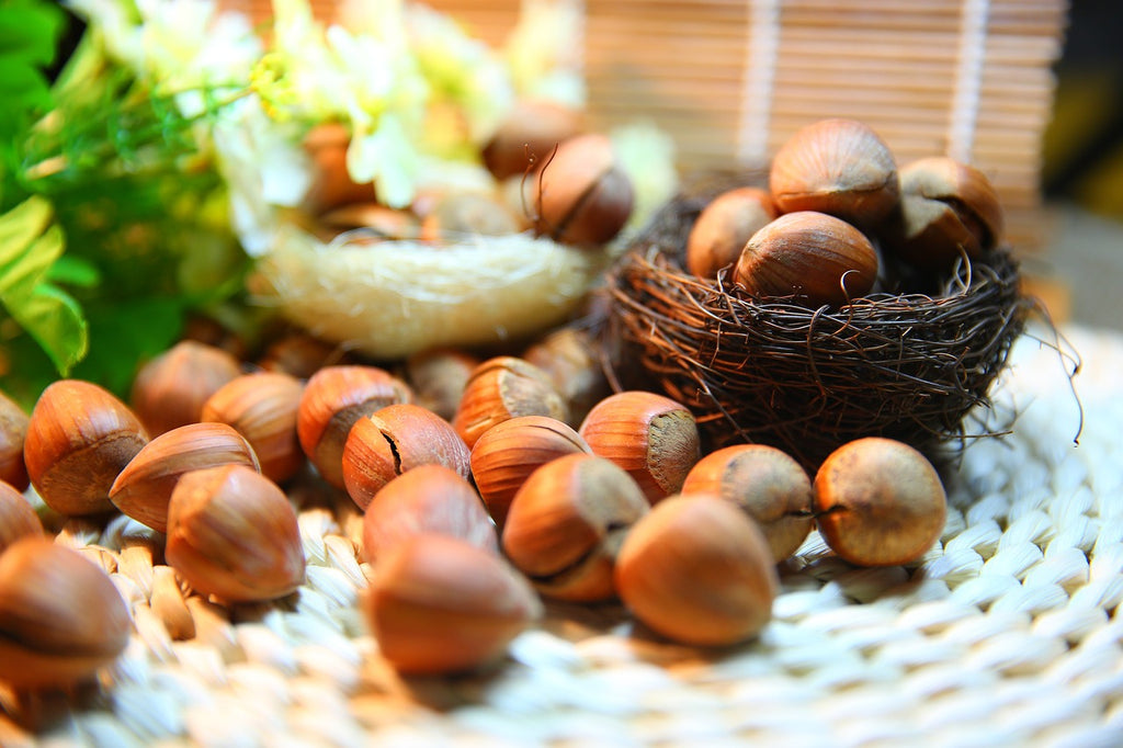 Raw Hazelnuts / Filberts (No Shell)
